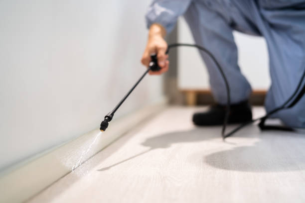 Licensed Termite Control service in Taylor County County, IA - Nex Pest Control