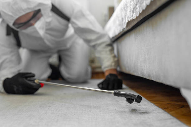 Professional Termite Control technician working in Taylor County County, IA